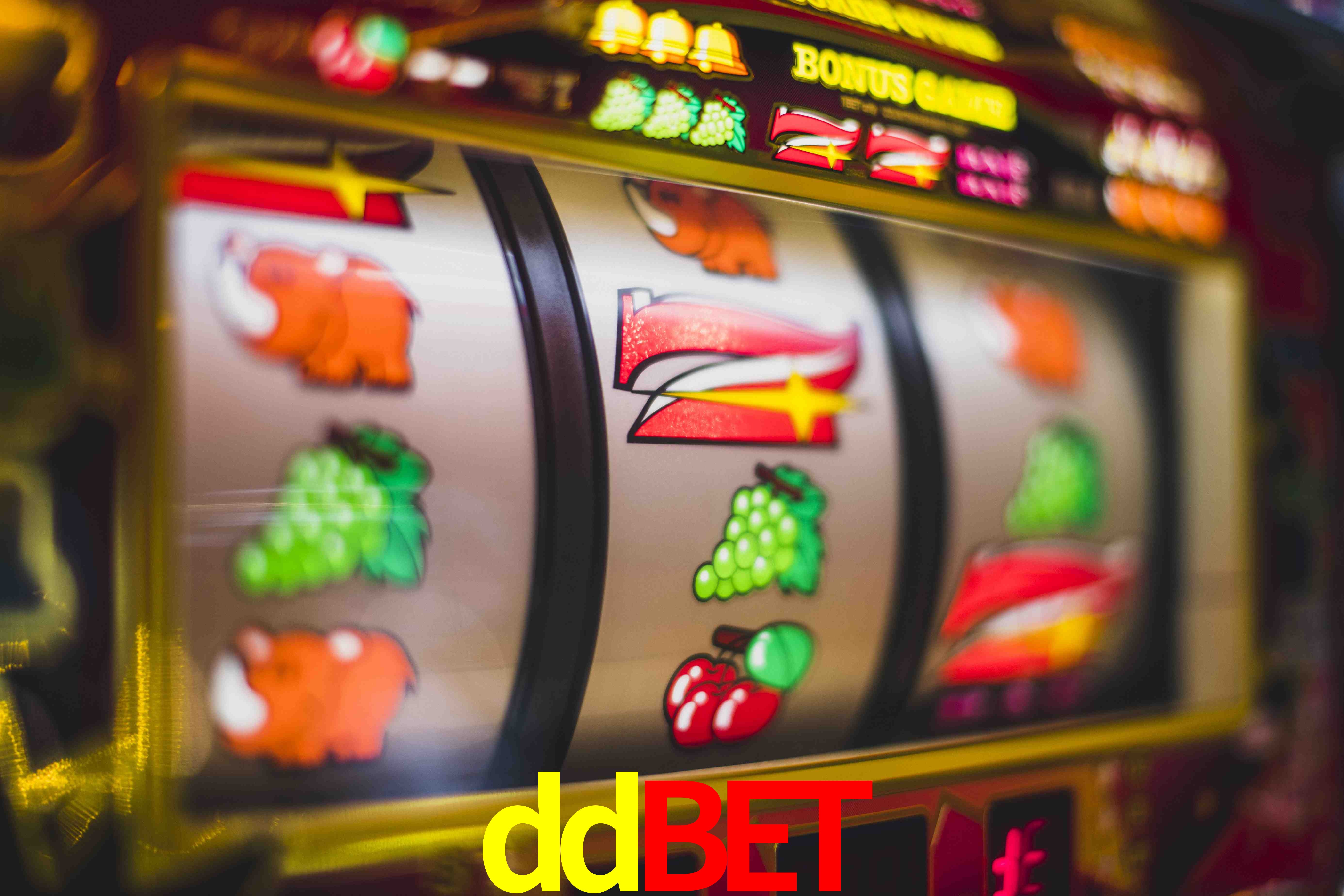 Basketball Betting ddbet